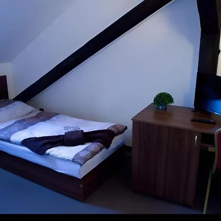 Zlaty Andel Hotell 3*